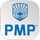 pmp Course in Singapore - Inspizone