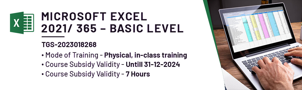 Basic Excel Course Singapore